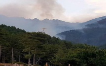 Incendies en Corse du Sud : le feu de Palneca progresse, 170 hectares détruits 