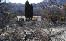 Après le feu de Suare-Calenzana, la désolation et la colère