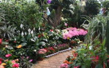 Produire local : Le parcours du combattant en Corse