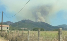 Incendie : Déjà 100 hectares détruits à Loreto di Tallano et Cargiaca