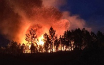 Lecci : Une dizaine d'hectares détruits par le feu au petit matin
