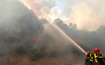 Sartene : Les flammes détruisent deux hectares sur Orasi