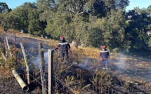Ajaccio : Deux incendies rapidement maîtrisés