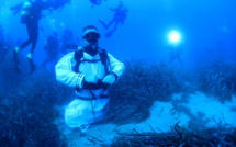 Calvi : Procession et bénédiction sous-marines en vidéo