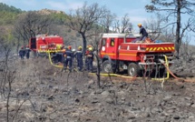 Porto-Vecchio : Plus de deux hectares détruits à Mela