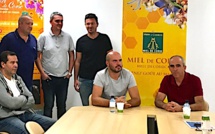 Apiculture : L’écosystème corse est en grand danger !