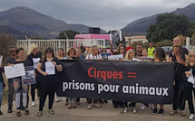 Biguglia : Animali manifeste contre les cirques avec animaux en Corse