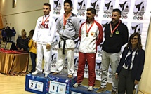 Karaté : la grosse perf de Guillaume Le Van à Turin