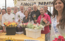 Rotary Parata : Des milliers de roses pour l'enfance