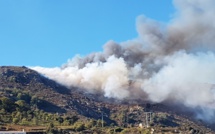 Incendies sur les hauteurs de Speloncato
