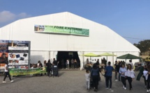 Furiani : Une première Foire d’automne réussie