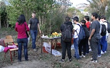 Lycée agricole de Borgo : "Stop aux pesticides en Région Corse"
