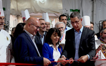 Le  cacao criollo de La Réunion veut séduire les chefs du salon du chocolat de Bastia