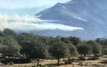 Plusieurs incendies à Feliceto, Ville di Paraso et Costa