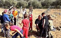 Les enfants du Nebbiu et de la Conca d'Oru plantent les premiers oliviers 100% corses