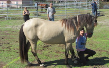 Occhiatana : Un concours Equifeel au Haras de Tesa