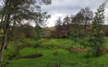 Sarrola-Carcopino : Les jardins du savoir, créateurs de lien social