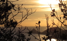 La photo du jour : Punta di a Parata