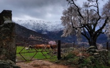 La photo du jour : A bocca di a Battaglia