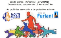 Furiani : Les scouts prêts pour le « cani-cross » du 14 avril