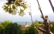 La photo du jour : U chjarasgiu di u Guvernatore