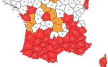 Santé : Alerte rouge contre le moustique tigre en Corse et dans 41 autres départements