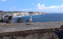 La photo du jour : L'oiseau et l'enfant de Bonifacio