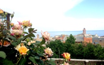 La photo du jour : Les roses et le Palais des Gouverneurs de Bastia