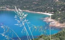 La photo du jour : Du côté de Carghjese…