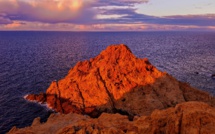 La photo du jour : Lisula…Rossa