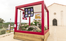 A Bonifacio, les fleurs ont revêtu leurs plus beaux atours !