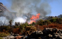 Sorbo-Ocagnano : Le feu du tracteur se propage aux herbes sèches et au maquis. 20 ha détruits