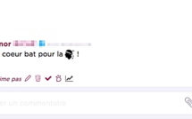  Le drapeau corse a maintenant son emoji sur un réseau social !