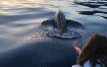 La photo du jour : Le dauphin et l'enfant dans le golfe de Porto