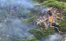 Incendies : Deux départs de feu déclenchés en montagne par la foudre