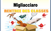 Vide grenier organisé par le Donneurs de Sang Bénévoles de la Plaine Orientale