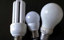 Collecte et recyclage des lampes à économie d'énergie : Une belle progression de la Corse
