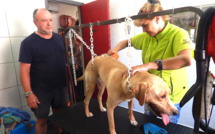 Porto-Vecchio : Après la plage, le salon de toilettage