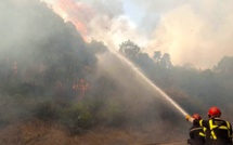 Incendies : 6 000 m2 détruits à Ghisonaccia et mise à feu à Oletta