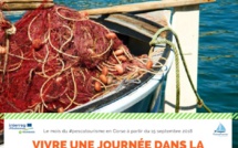Une journée dans la peau d’un marin pêcheur : Le mois du Pescatourisme en Corse a démarré