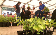 15e Festa di u Ficu : Plus de 5 000 personnes en deux jours à la plaine de Peri
