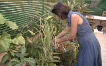 Bastia : Jardiner et composter en appartement, c’est possible…