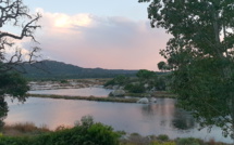 La photo du jour : Quand les salines de Porti Vechju se parent de rose....
