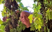 Du "Vin Show" dans la citadelle de Calvi !