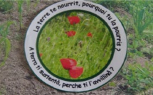 Film et débat sur:  "comment l’agroécologie peut nourrir le monde?" au Bistrot du cours d'Ajaccio