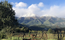 Corse : Premières neiges