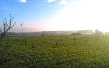 Les agriculteurs de Balagne protestent ce mercredi à Galeria 