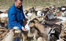 Calenzana : Regain de tension à Luzzipeu