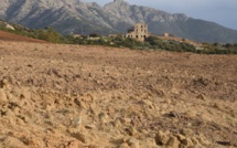 Luzzipeu : Droit de réponse de Jean Vincent et Jean Raphael Grisoli au communiqué de Via Campagnola du 27/12/2018