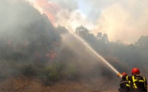 Casamaccioli : L'incendie progresse toujours. Plus de 130 hectares parcourus par les flammes